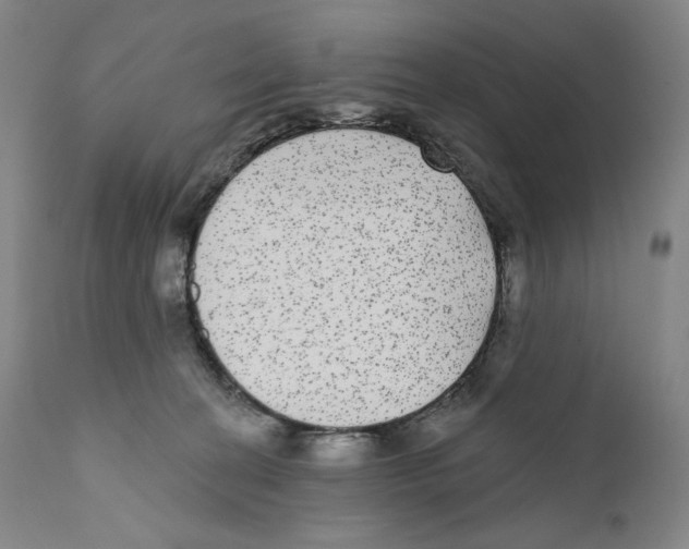 X0000110720274200907101411