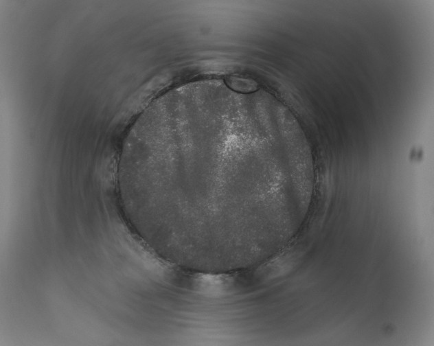 X0000110720277200907101411