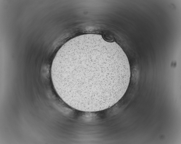 X0000110720278200907101411