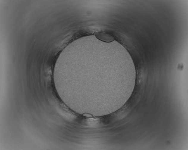 X0000110720279200907101411