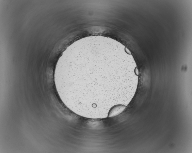 X0000110720283200907101411