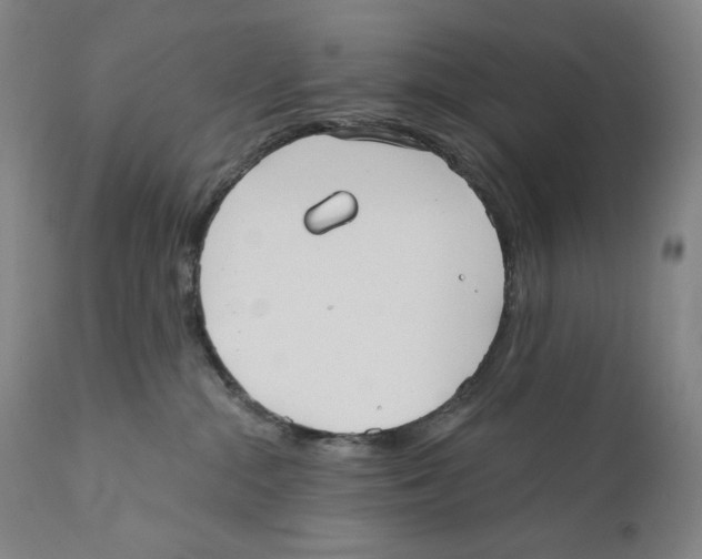 X0000110720284200907101411