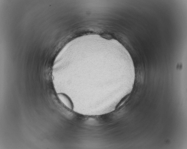 X0000110720285200907101411