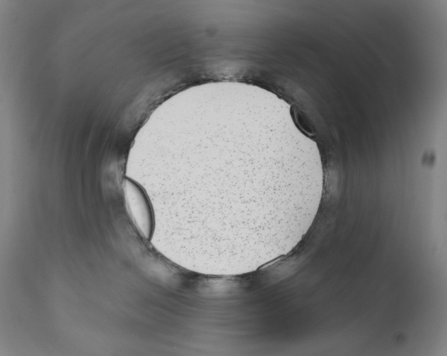 X0000110720286200907101411