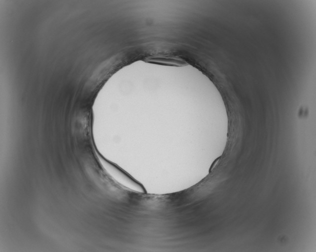 X0000110720288200907101411