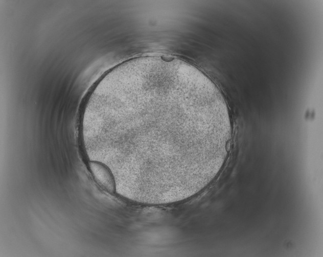 X0000110720290200907101410