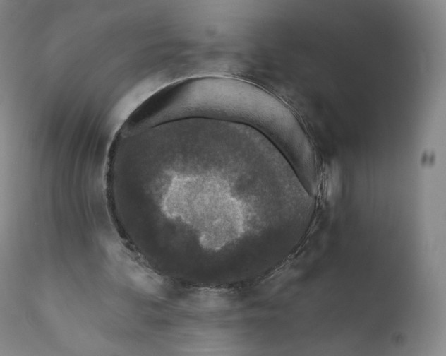 X0000110720292200907101410