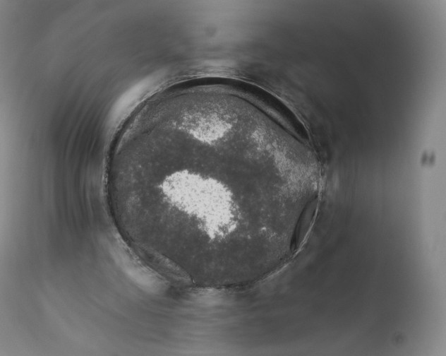 X0000110720293200907101410