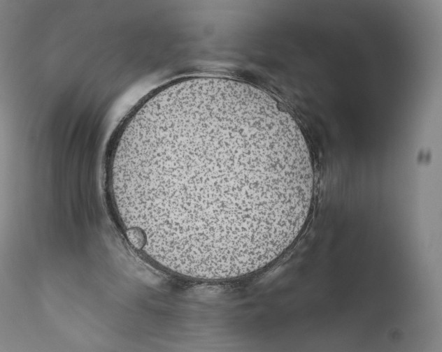 X0000110720294200907101410