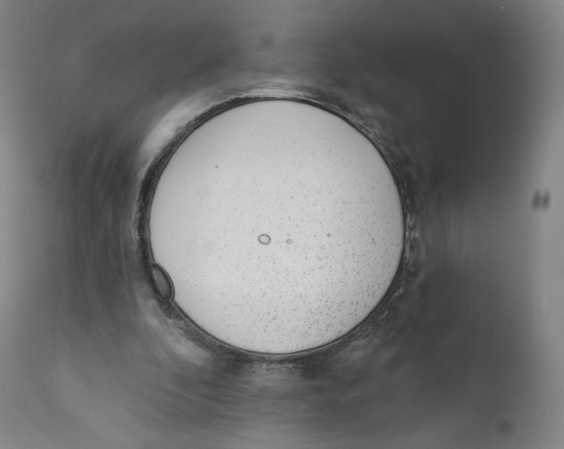 X0000110720296200907101410