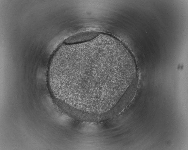 X0000110720297200907101410