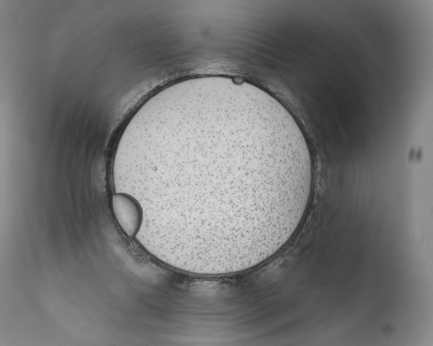 X0000110720298200907101410