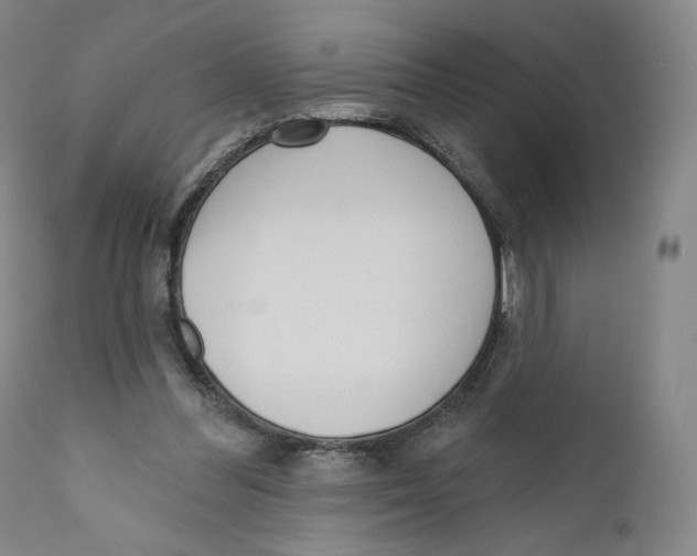 X0000110720300200907101410