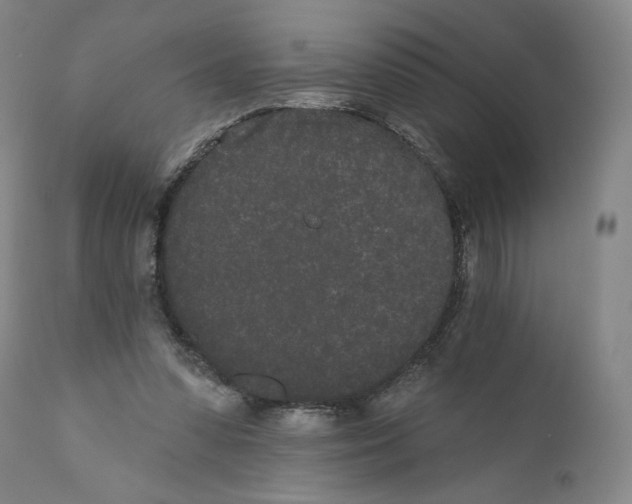 X0000110720303200907101410