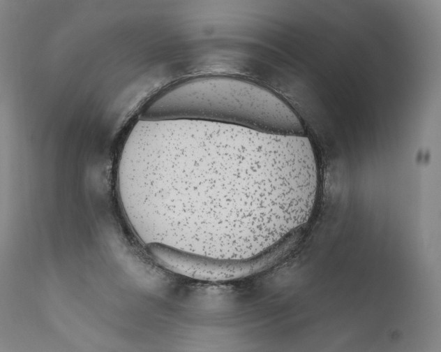 X0000110720304200907101410