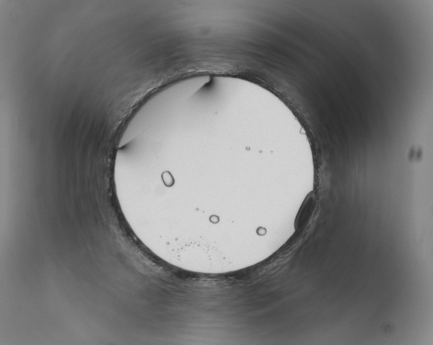 X0000110720305200907101410