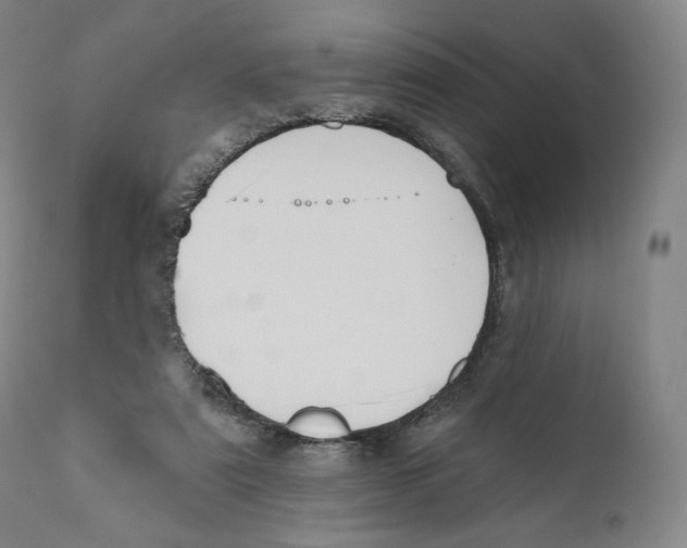 X0000110720307200907101410