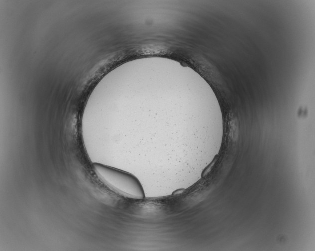 X0000110720308200907101410