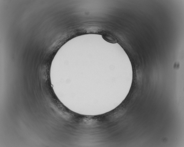 X0000110720311200907101410