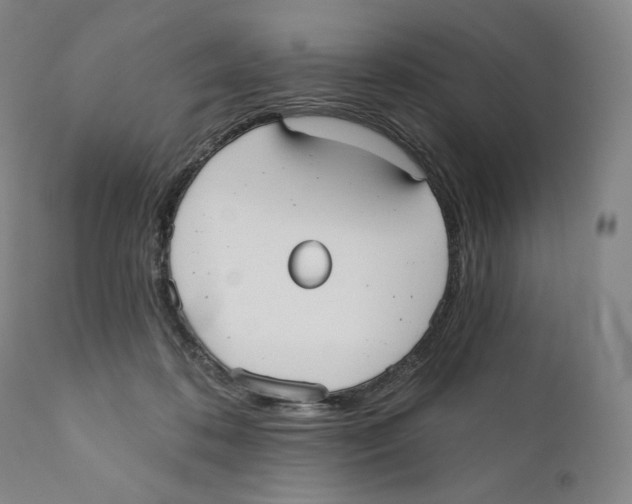 X0000110720316200907101410