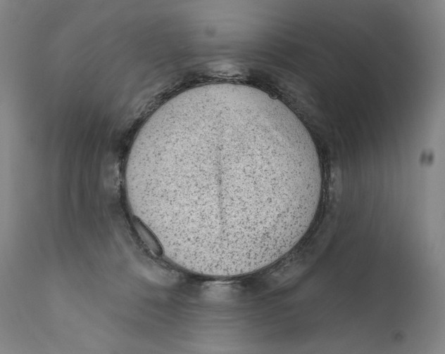 X0000110720320200907101410