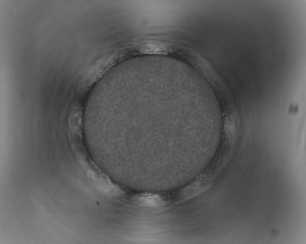 X0000110720322200907101410