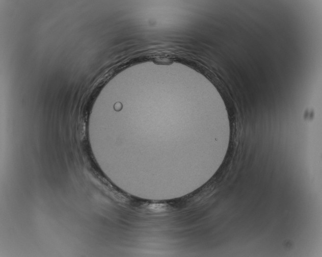 X0000110720324200907101410