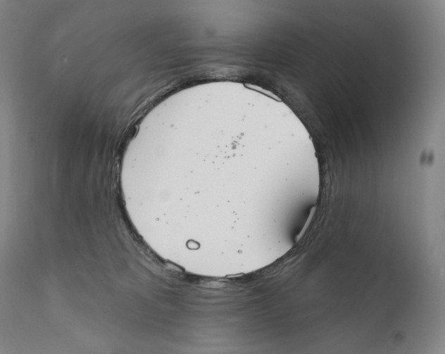 X0000110720325200907101410