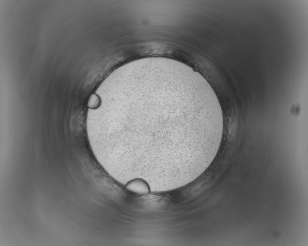 X0000110720326200907101410