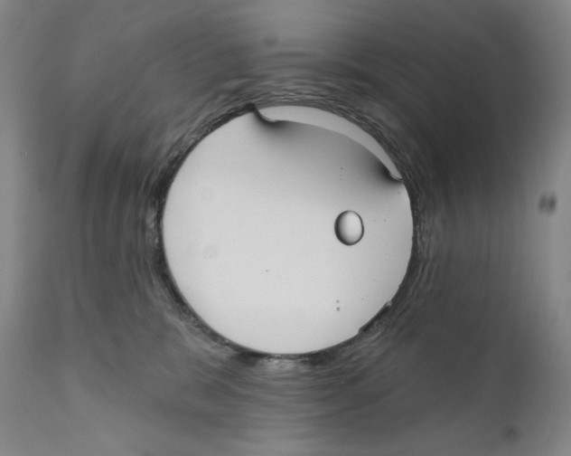 X0000110720327200907101410