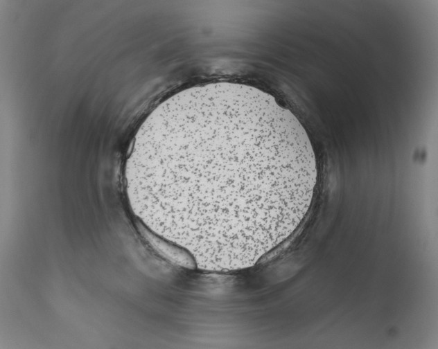 X0000110720328200907101410