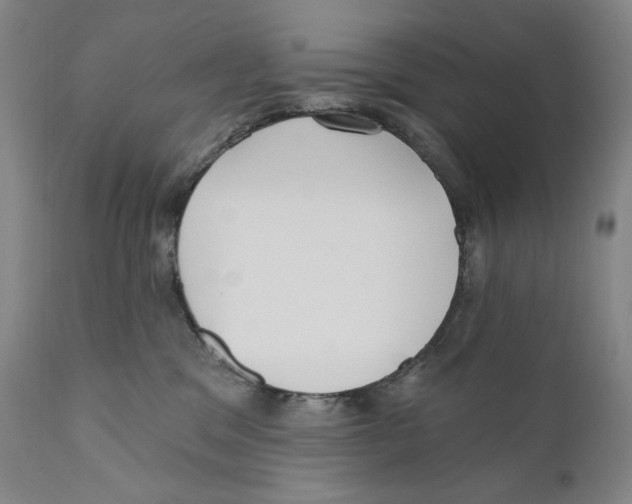 X0000110720329200907101410