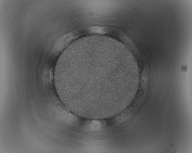 X0000110720330200907101410