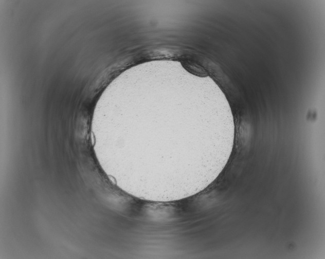 X0000110720331200907101410