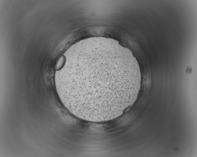 X0000110720332200907101410