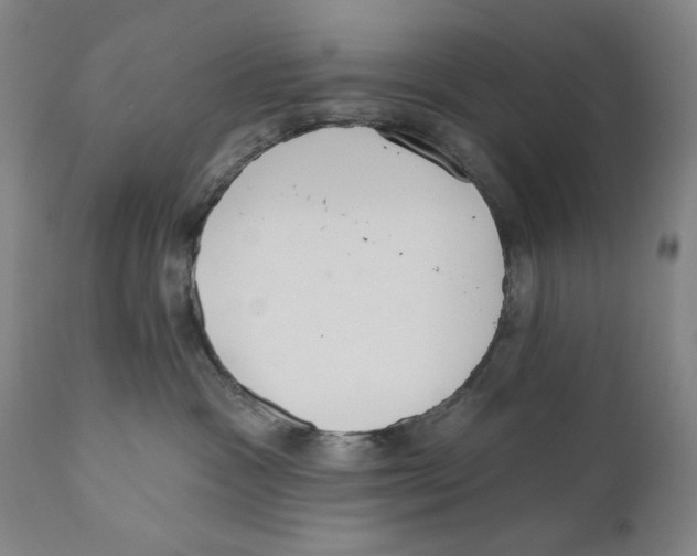 X0000110720333200907101410