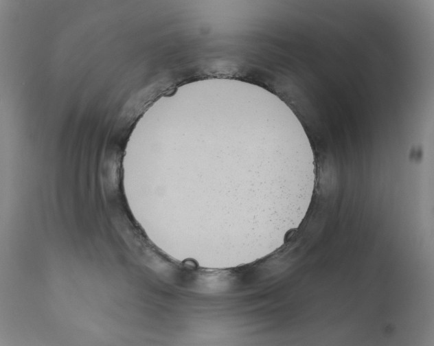 X0000110720334200907101410