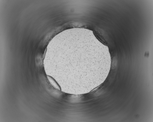 X0000110720335200907101410