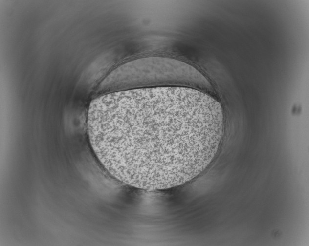 X0000110720336200907101410