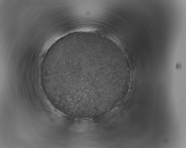 X0000110720337200907101409