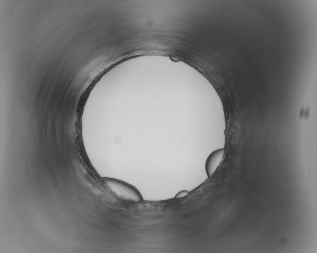 X0000110720338200907101409