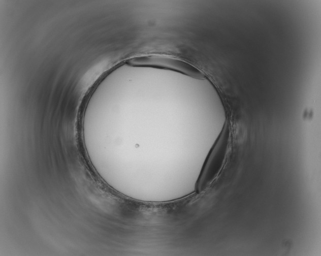 X0000110720340200907101409