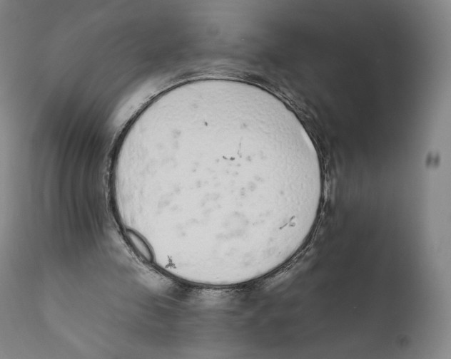 X0000110720341200907101409