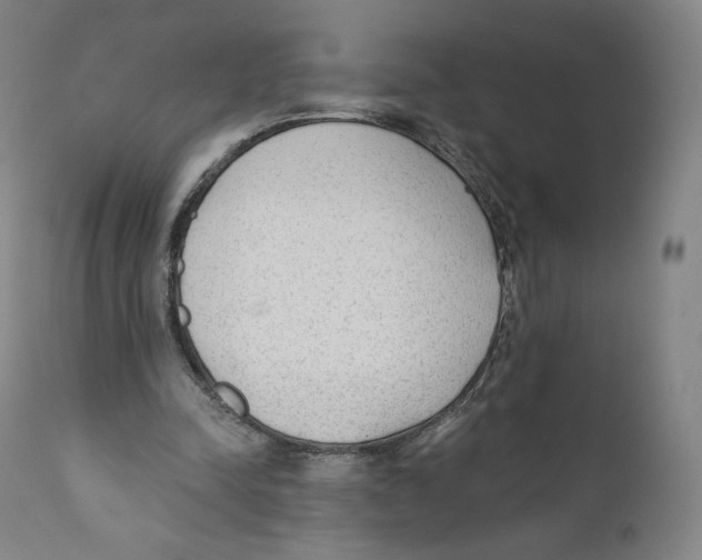 X0000110720342200907101409