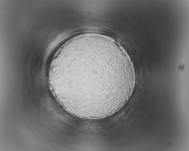 X0000110720343200907101409