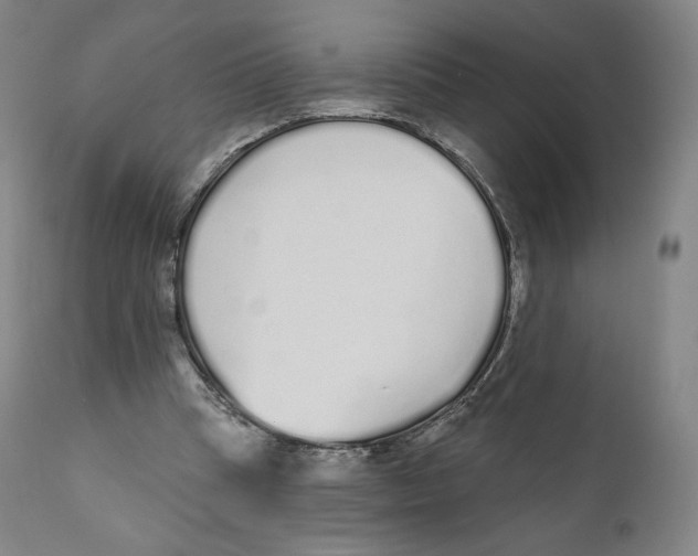 X0000110720345200907101409