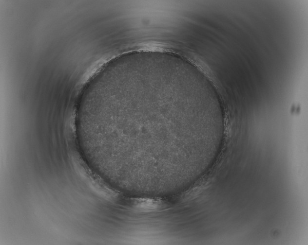 X0000110720347200907101409