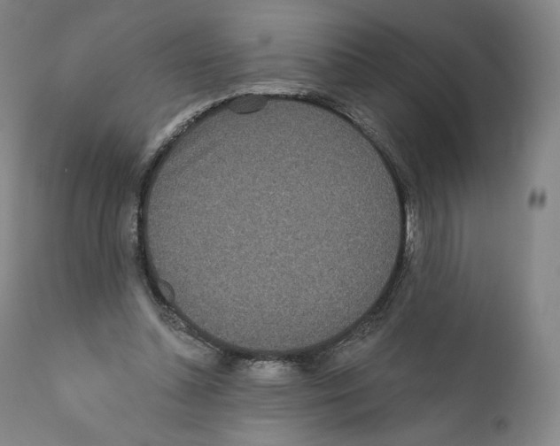 X0000110720348200907101409