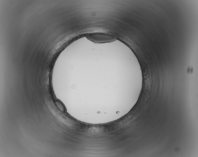 X0000110720350200907101409