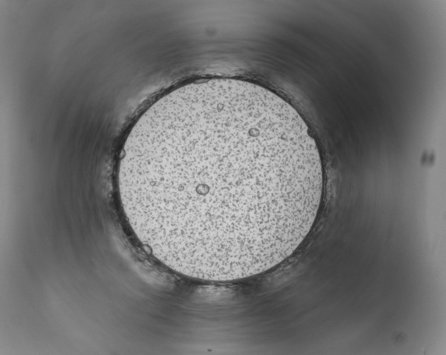 X0000110720354200907101409